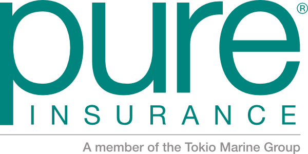 pure high net worth insurance