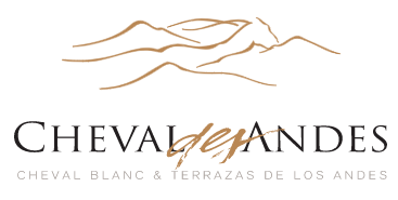 Cheval des Andes 2018 Château Cheval Blanc & Terrazas de Los Andes –  Taylor's Wine Shop
