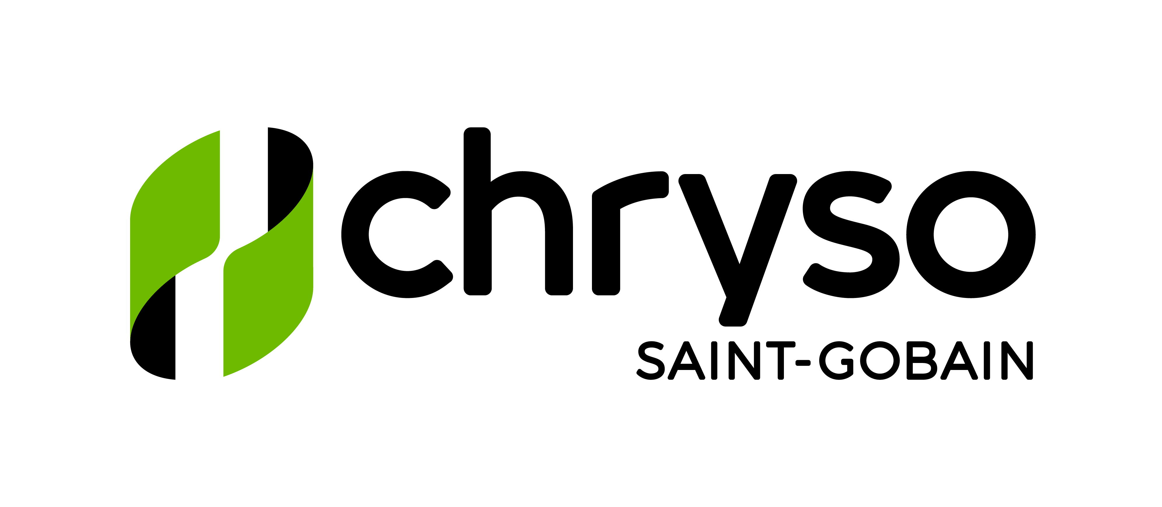 Primary Raster logo